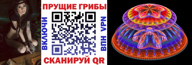 Псилоцибиновые грибы прущие грибы  наркота  Кыштым 